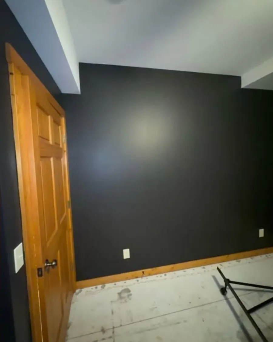 Dark painted accent wall with warm wood trim in a Madison-area home
